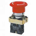 Metallic Push Button Switch 1