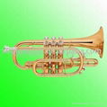 Cornet