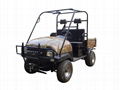 New 250cc utility vehicle 1