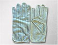 Anti-Static Gloves