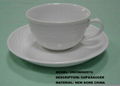 Cup & Saucer