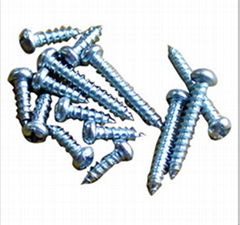 self tapping screw