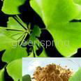 gingko biloba extract