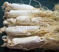 Ginseng extract 1