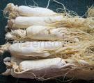 Ginseng extract