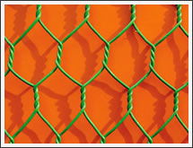 Hexagonal Wire Netting 2