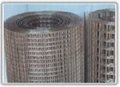 Galcanized Welded Wire Mesh 2