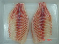 Frozen Tilapia Fillet