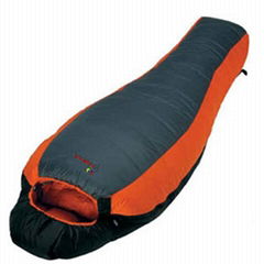 Sleeping bag