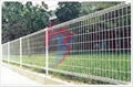 Wire Mesh Fence