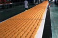 Automatic biscuit production line  4