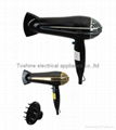 Hair dryer (Ionic) 1