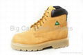 Safety Boots CSA 1