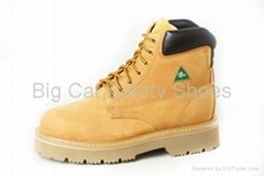 Safety Boots CSA