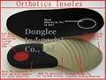 Orthotic Insole 2