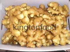 Ginger (Fresh, Frozen, Dehydrated,