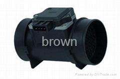 mass air flow sensor (MAF sensor)