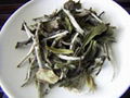 white tea 1