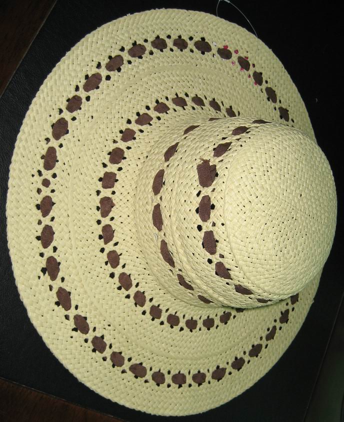 Lady's Hat 2