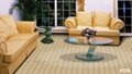 laminated floor--natural surface collection 2