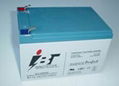 Sealed Lead Acid ( SMF) Batteries 1