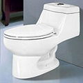 toilet 2