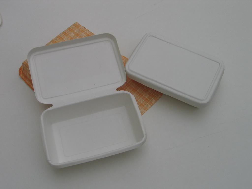 carboard lunch box