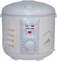 rice cooker 2