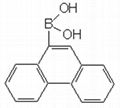 9-phenanthrenylboronic acid 1