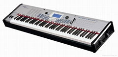 Digital Piano&Synthesizer