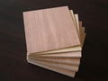 commerical plywood 1