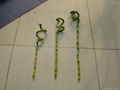 Lucky bamboo 2