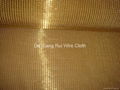 brass decorative wire mesh