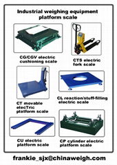 industrial weighing equipment - Platform Scale 2
