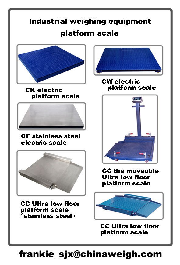 industrial weighing equipment - Platform Scale 1