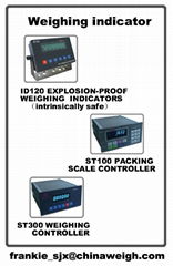 industrial weighing equipment - Weighing