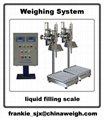 industrial weighing equipment - Weighing System