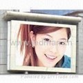 P20 Outdoor Full color Led Video Display Screen-electronic information display