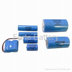 Li-SOCl2 3.6V Battery