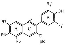 AIGI Supply: Bilberry Extract Powder Anthocyanidin 15%25%(EP/CN Standard)