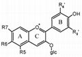 AIGI Supply: Bilberry Extract Powder Anthocyanidin 15%25%(EP/CN Standard)