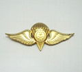 Lapel Pin 1