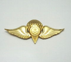 Lapel Pin