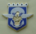 Lapel Pin 2