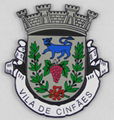 Lapel Pin 3