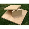 full birch plywood 1