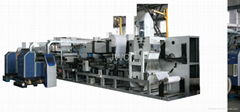 Multifunctional Production Line for
