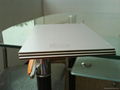 aluminum composite panel 2