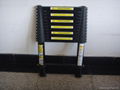 Telescopic ladder(EN131) 1