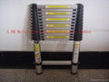 3.8 M telescopic ladder (multi- times